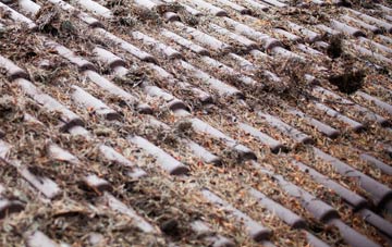 Second Drove roof cleaning companies